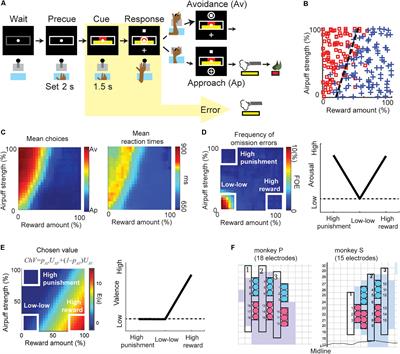 Striatal Beta Oscillation and Neuronal Activity in the Primate Caudate Nucleus Differentially Represent Valence and Arousal Under Approach-Avoidance Conflict